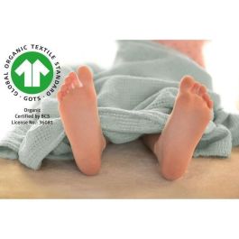 Roba ROB4005317327273 Manta para Bebé de Algodón Orgánico, 80 x 80 cm - Verde Escarchado