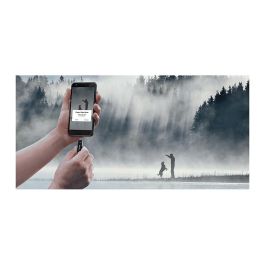 Sandisk Ultra Dual Drive Go 256 GB USB 3.2 Gen 1 (3.1 Gen 1) Type-A/Type-C Negro SDDDC3-256G-G46