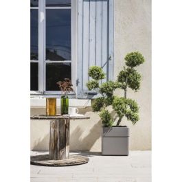 EDA EDA3086960275297 Jardinera cuadrada 40 cm, 26 L, con ruedas, exterior/interior, 39x39x39 cm, color topo