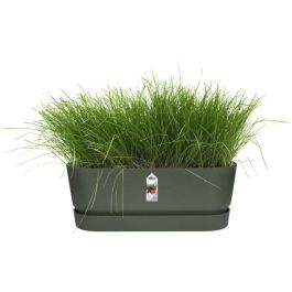 Elho ELH8711904358389 Plantera Ovalada Greenville de Plástico Ø50 Verde Hoja Elho ELH8711904358389 Plantera Ovalada Greenville de Plástico Ø50 Verde Hoja