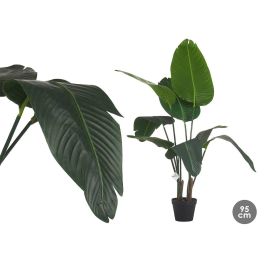 Planta Esterlicia Pequeña en Maceta 120 cm - Ibergarden Planta Esterlicia Pequeña en Maceta 120 cm - Ibergarden Precio: 46.49999992. SKU: S3611143