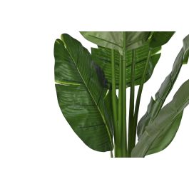 DKD Home Decor Árbol del viajero de PE Verde 60 x 180 x 60 cm (2 Unidades)