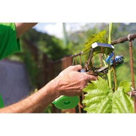Stocker Atadora Stocktap para Plantas, Huerto y Jardín, Máxima Eficacia en Ataduras, Verde, 37cm