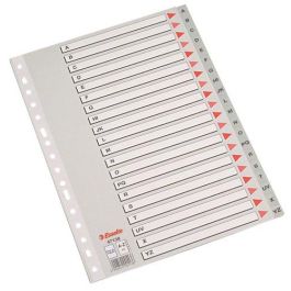 Esselte Separador Multitaladro Folio Gris Polipropileno Índice Abecedario Precio: 5.50000055. SKU: B12H4FP4YY
