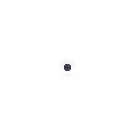 Ubiquiti Camera AI Theta