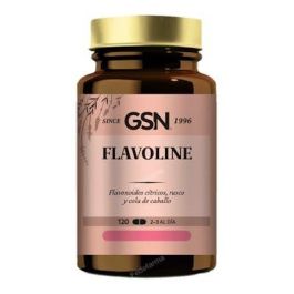 GSN Flavoline 120 Comprimidos para Circulación Venosa con Rusco, Ginkgo Biloba y Cola de Caballo Precio: 15.4999999. SKU: B1986S3ZBV