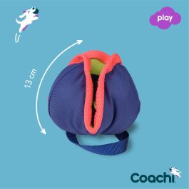 Coachi Chase & Treat Juguete de Entrenamiento y Estimulación Mental con Recompensas para Perros y Cachorros Multicolor