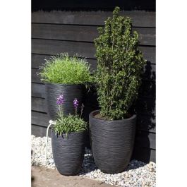 Florero bajo elegante - CAPI EUROPE - RIB NL - 34 x 46 cm - Negro Florero bajo elegante - CAPI EUROPE - RIB NL - 34 x 46 cm - Negro