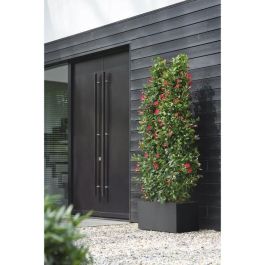 Elho ELH8711904499624 Jardinera Vivo Next Long 60 Negro L 59 x B 30 x H 29 cm, Uso Interior/Exterior, 100% Reciclado
