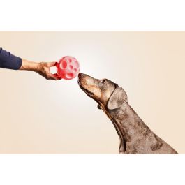 Gloria Bola Dispensadora de Chuches para Perros de Goma Resistente, 12 cm