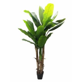 Oplante Planta Artificial Bananera 180 cm Verde Tela, Decoración para Hogar u Oficina Precio: 80.50000046. SKU: B1CS8Q9LWJ
