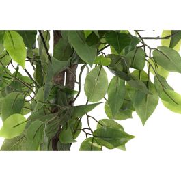 Planta Urban DKD Home Decor Verde 50 x 90 x 50 cm Planta Urban DKD Home Decor Verde 50 x 90 x 50 cm