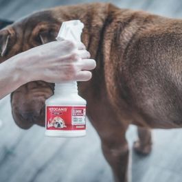 Vetocanis Spray Antiparasitario VETOSOIN con Fipronil para Gatos y Perros, 250 ml - Antipulgas y Antigarrapatas Eficacia Prolongada