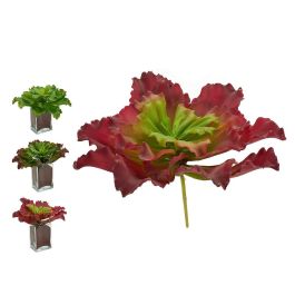 Planta Hojas Onduladas Grande 3 Col Surt Ibergarden 31X24CM (12 Unidades) Precio: 63.50000019. SKU: B1BNL6VVR5