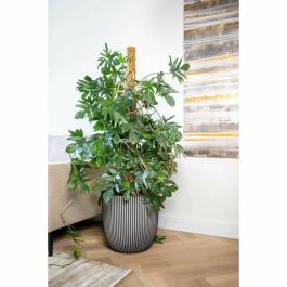 Capi Europe AUC1685517754407 Maceta de bolas GROOVE NL 43 x 41 cm Antracita Capi Europe AUC1685517754407 Maceta de bolas GROOVE NL 43 x 41 cm Antracita