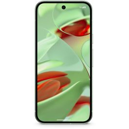 Google Pixel 9 128GB 12GB RAM 5G Wintergreen Google Pixel 9 128GB 12GB RAM 5G Wintergreen