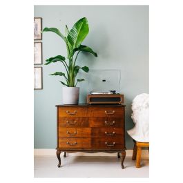 Lenco LS-430BN Tocadiscos de tracción por correa con Bluetooth, 4 altavoces integrados, 33/45 RPM, color marrón