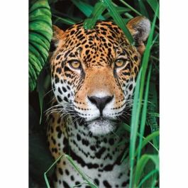 Clementoni CLE1708579108441 Puzzle 500 Piezas Compacto - Jaguar en la Jungla
