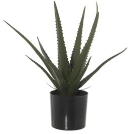 Planta Decorativa Alexandra House Living Plástico Aloe Vera 11 x 11 x 39 cm Precio: 57.49999981. SKU: B1JSB6CW98