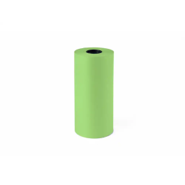 Liderpapel Papel de Regalo Kraft Bobina Verde Pistacho 31 cm Ancho, 60 gr, 130x310x130 mm