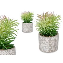 Planta Hoja Fina Maceta Gris Ibergarden 12X22CM (8 Unidades) Precio: 44.68999964. SKU: B1D8XZ6T46