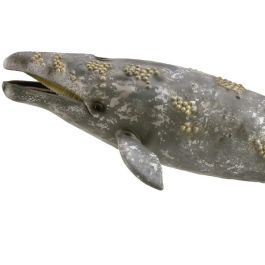 Ballena Gris - Xl - 888836 - Collecta Ballena Gris - Xl - 888836 - Collecta