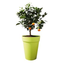 ELHO Loft Urban maceta redonda alta - Ø 35 cm - Blanco ELHO Loft Urban maceta redonda alta - Ø 35 cm - Blanco