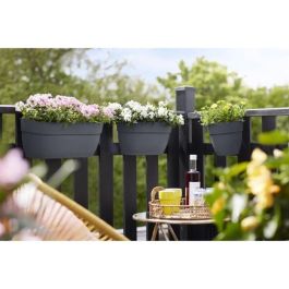 ELHO - Maceta - Vibia Campana Easy Hanger Medium - Antracita - Balcón exterior - L 24,1 x An 36 x Al 26,5 cm ELHO - Maceta - Vibia Campana Easy Hanger Medium - Antracita - Balcón exterior - L 24,1 x An 36 x Al 26,5 cm