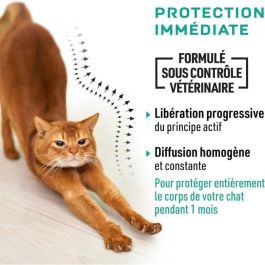 Vetocanis 4 Pipetas Antipulgas y Antigarrapatas para Gatos - Pack Económico de 4 Meses de Protección