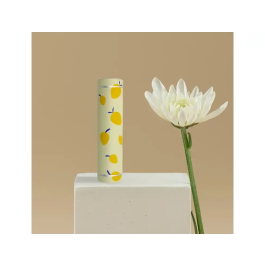 Wondee Batería Externa 5.000 mAh Limones Diseño Compacto y Ligero