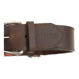 Gloria Collar de Cuero Liso para Perros Grandes 65 x 4 cm