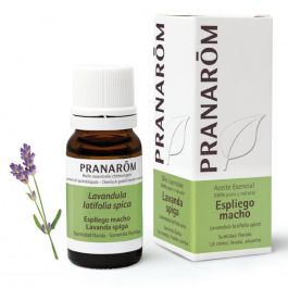 PRANAROM Espliego Macho Sumidad Florida 10 ml Precio: 9.5000004. SKU: B18XZDWTWT
