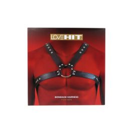 Arnés Virgite MOD. 3