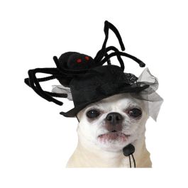 Disfraz para Perro Negro Gorro