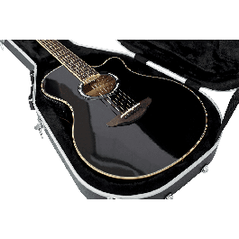 Gator APX Gator Estuche para Guitarra Acústica Negro ABS Deluxe 1029 x 394 x 127 mm