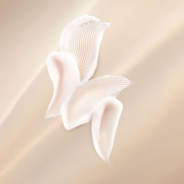 Elizabeth Arden ADVANCED CERAMIDE Lift & Firm Crema de Día Reafirmante Facial con Tecnología 3D FIT 50 ml