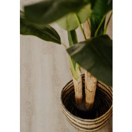 Oplante Planta Artificial Bananera 180 cm Verde Tela, Decoración para Hogar u Oficina