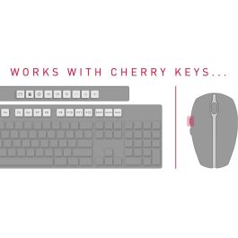 CHERRY DW 5100 CZECHIA