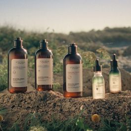 L'Occitane En Provence Aromacología Champú Suave Equilibrador para Cabello Brillo e Hidratación Profunda, Sin Sulfatos ni Silicona, 75 ml