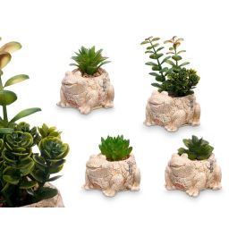 Maceta Rana Surtidos Ibergarden 11X14CM (12 Unidades) Precio: 37.8900005. SKU: B1CEMNKBB6
