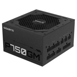 Gigabyte P750GM Fuente de Alimentación PC 750W 80 PLUS Gold Certificada, Modular, PFC Activo, Ventilador 120mm HYB