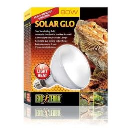 Exo Terra Solar Glo 80w Lámpara de Vapor de Mercurio Auto-balastrada para Reptiles y Anfibios, con Emisión de UVA, UVB y Calor para su Bienestar en Terrarios Precio: 51.89000058. SKU: B12ZWFV2TG