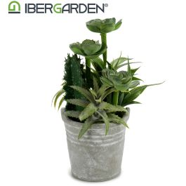 Ibergarden Maceta redonda para cactus y plantas, surtido de 2, plástico y cemento, 15x24x15 cm (12 Unidades) Ibergarden Maceta redonda para cactus y plantas, surtido de 2, plástico y cemento, 15x24x15 cm (12 Unidades)