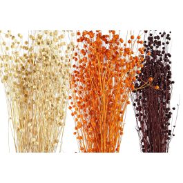 DKD Home Decor Ramo Cottage 10 x 70 x 10 cm Flor Seca Naranja Beige Burdeos Lino (12 Unidades)