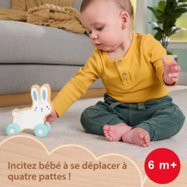 Fisher Price Conejo de Madera para Empujar