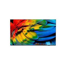 TP VISION 65HFL6214U/12 Televisor Hotel LED 65" 4K Ultra HD Smart TV Wifi Antracita Precio: 1536.95000052. SKU: B1A6CXT3JQ