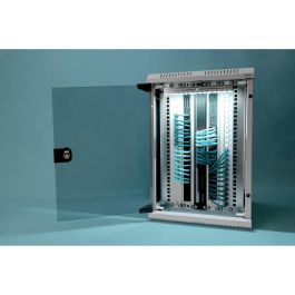 DIGITUS Carcasa Mural Combinada 254 mm (10") y 482.6 mm (19") 10U Acero IP20, Gris