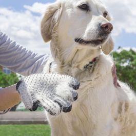 Guante para Cepillar y Masajear Mascotas Relpet InnovaGoods