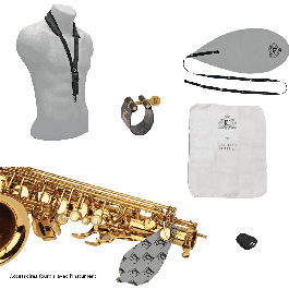 SML Saxofón Alto A420-II Dorado Lacado