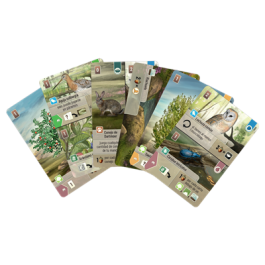 Lookout Games LOG0156ES - Juego de Mesa Forest Shuffle Dartmoor: Crea Hábitat para Flora y Fauna (2-5 Jugadores, 10+ Años)